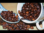 Coffee Plant ‘Mocha’ (Coffea arabica hybrid)
