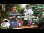 Coffee Plant ‘Mocha’ (Coffea arabica hybrid)